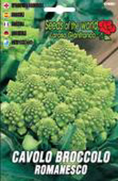 Cavolo broccolo romanesco.jpg