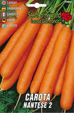 carota nantese sementi.jpg