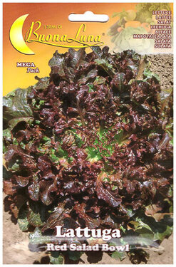 lattuga red salad bowl.jpg