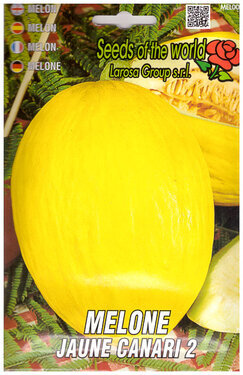 melone jaune canari.jpg