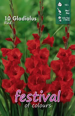 gladioli rossi.jpg