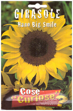Girasole nano big smile.jpg