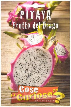 Pitaya frutto del drago.jpg