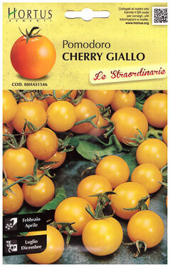 Pomodoro cherry giallo.jpg