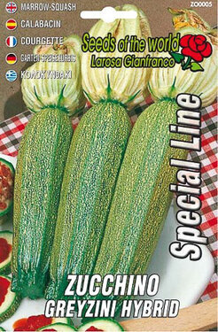 zucchino greyzini hybrid.jpg