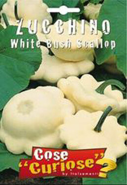 zucchino-white-bush-scallop.jpg