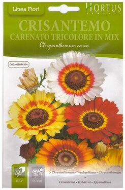 crisantemo carenato tricolore in mix.jpg