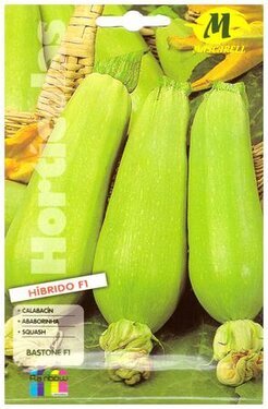 zucchina bastone f1.jpg